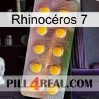 Rhinocéros 7 new11